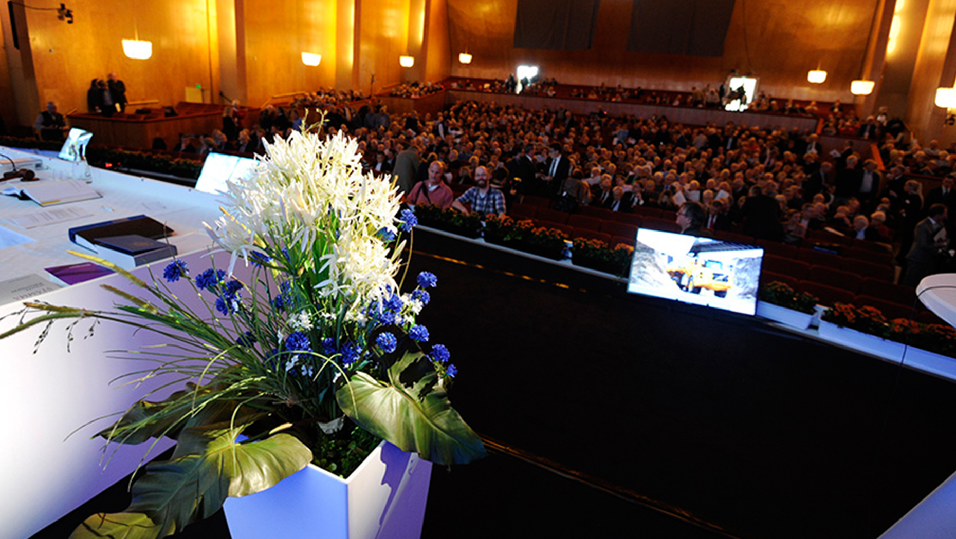 Annual General Meeting 2017